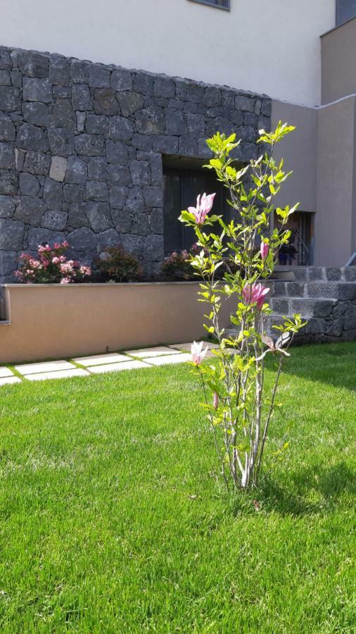 Anna & Alfredo Bed And Breakfast Zafferana Etnea Exterior foto